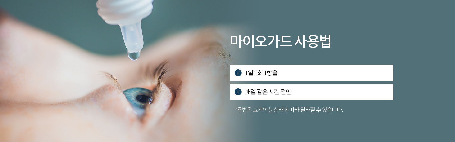 마이오가드_04