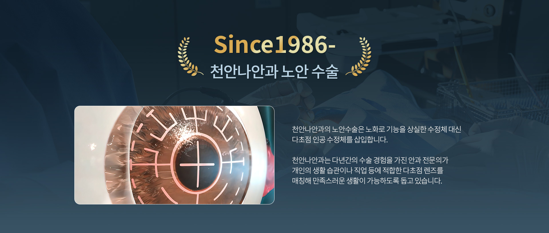 노안_01
