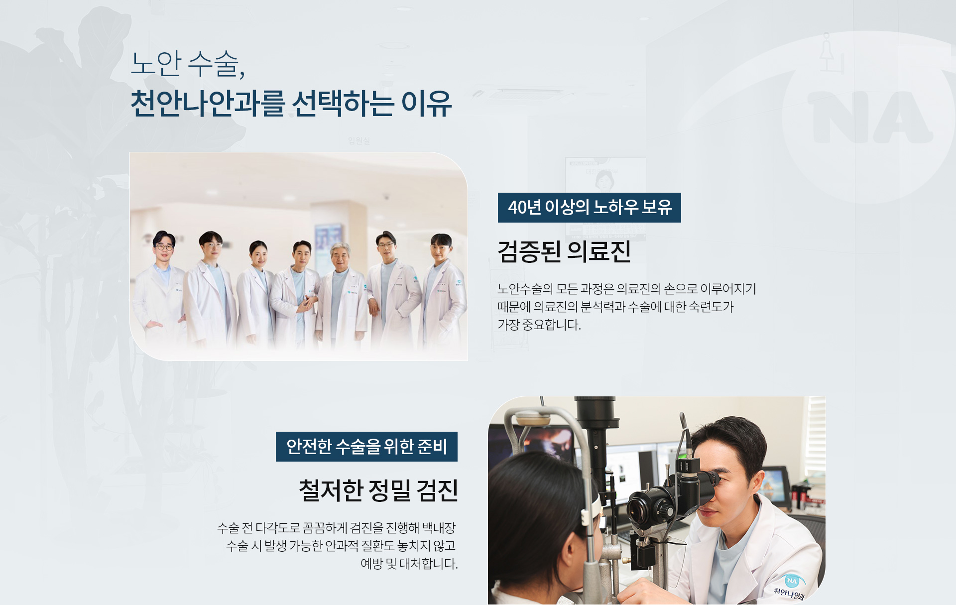 노안_07