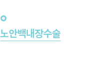 1995년
