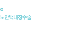 2005년