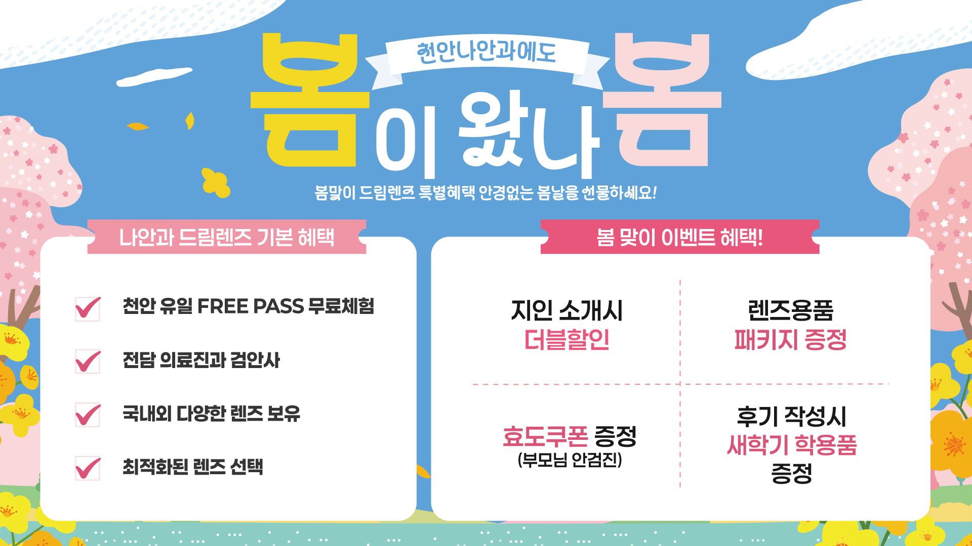 드림렌즈 봄 맞이 EVENT